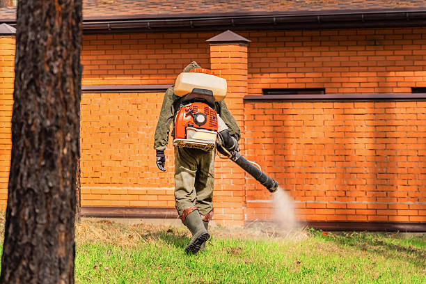 Bed Bug Clearance Verification and Documentation in Marseilles